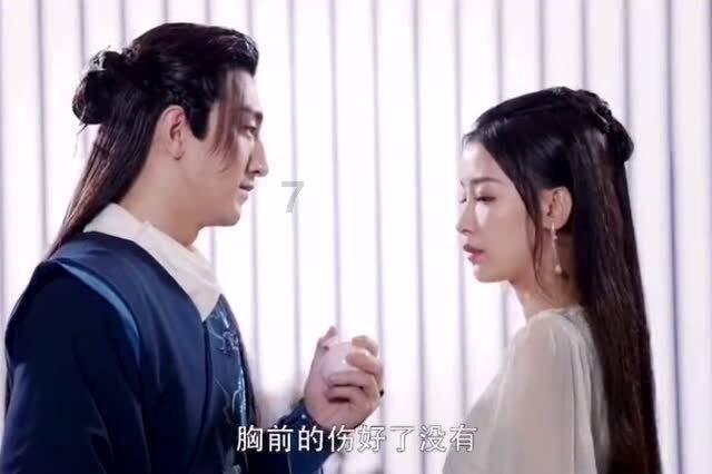 森林的奇迹