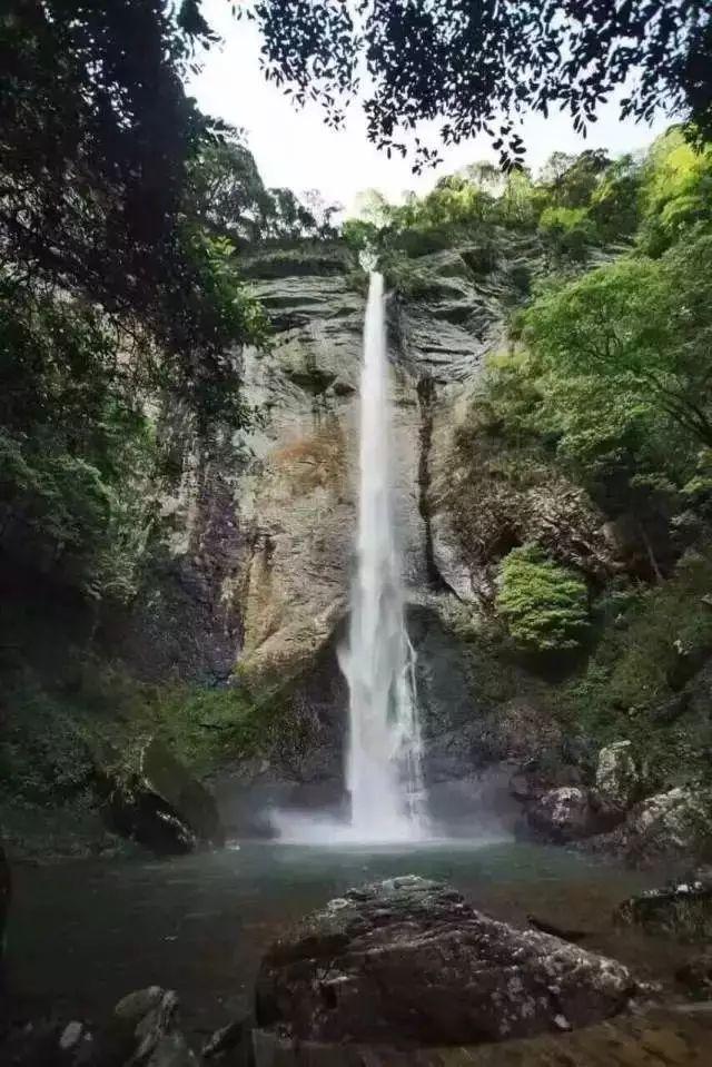 至高半价换新机，博世家电烟灶以旧换新活动重磅来袭